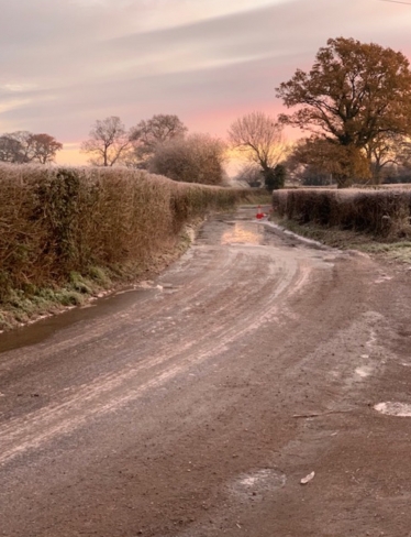Icy Rural Lane